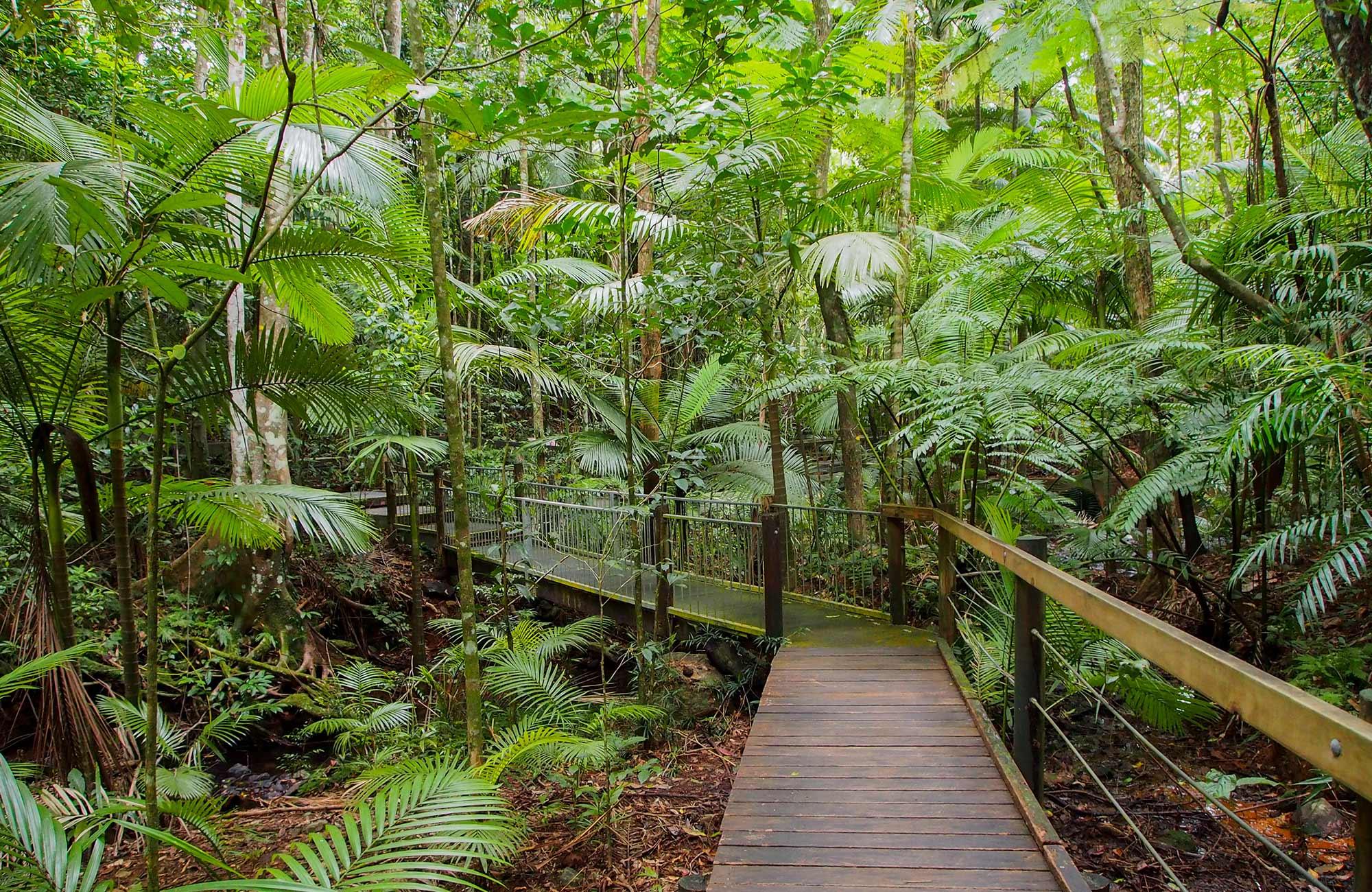 Matka Cairnsiin - KILROY