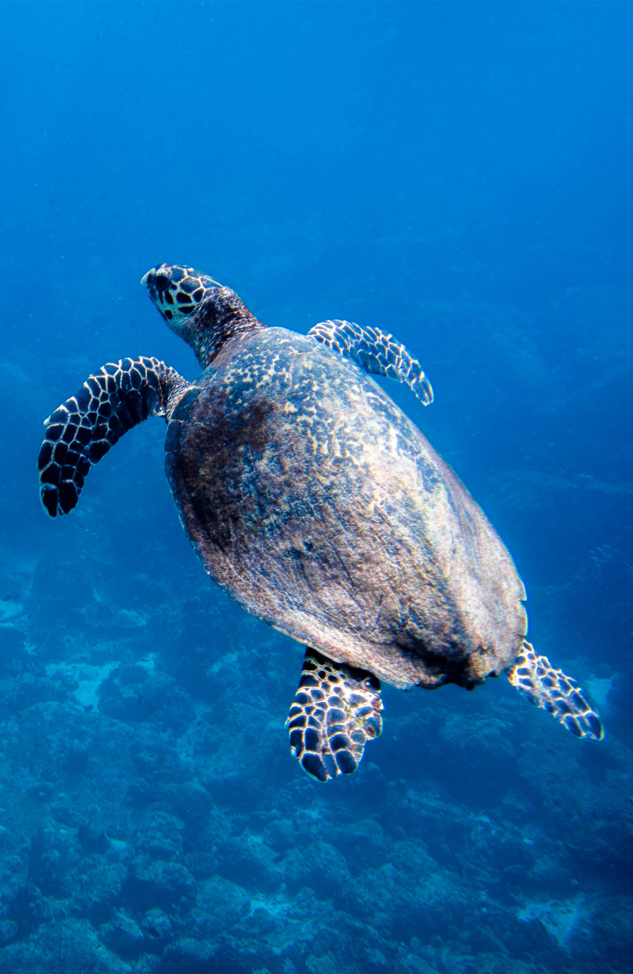 Matka Perhentian-saarille - KILROY