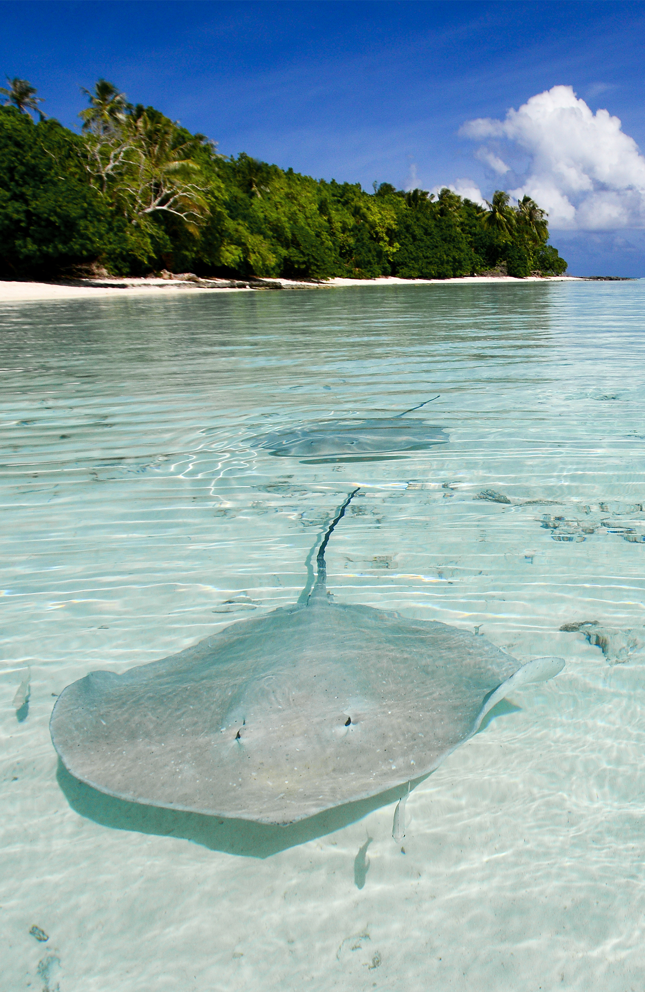 Tahiti matkat - KILROY