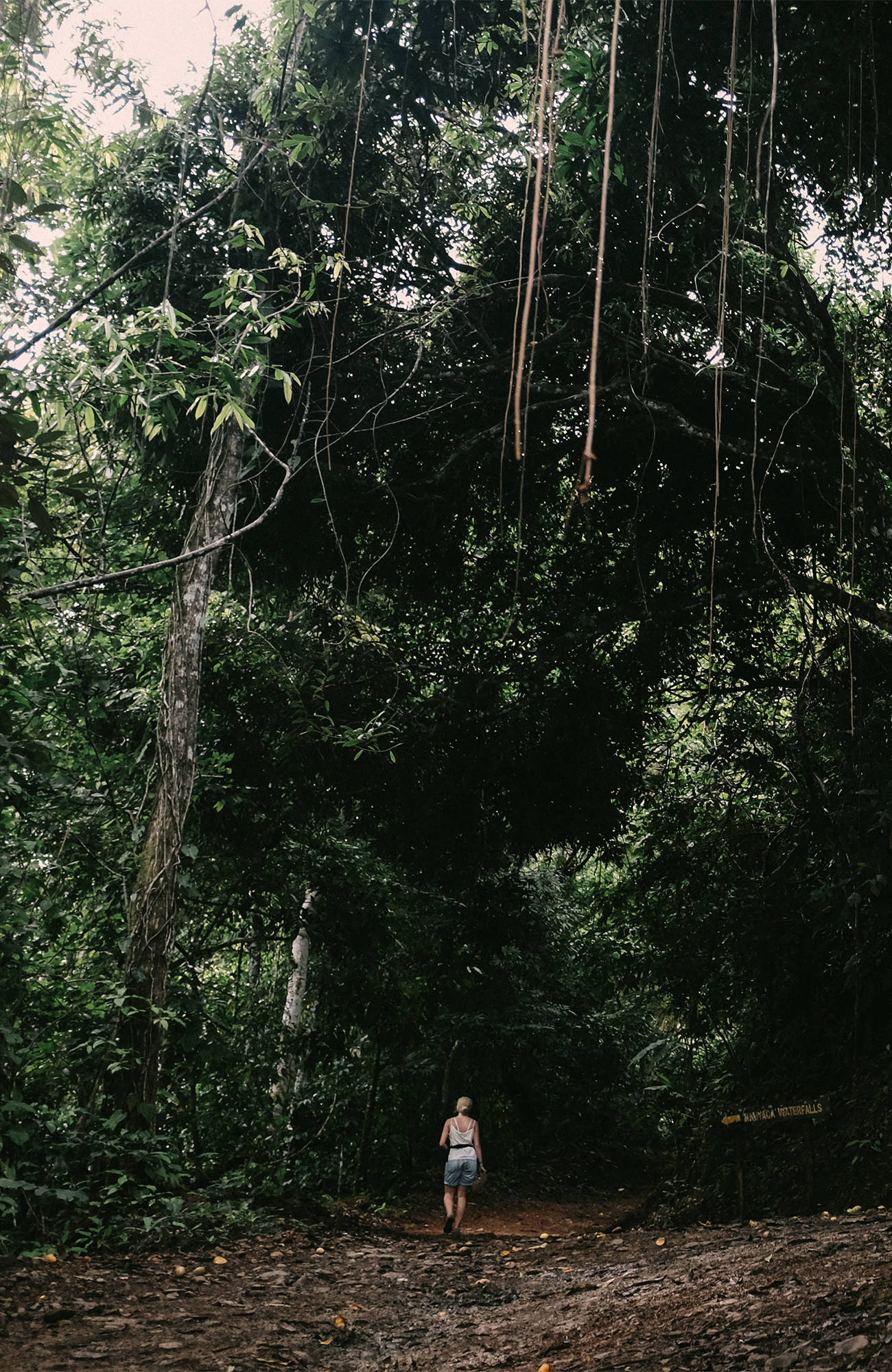 costa-rica-woman-jungle-sidebar