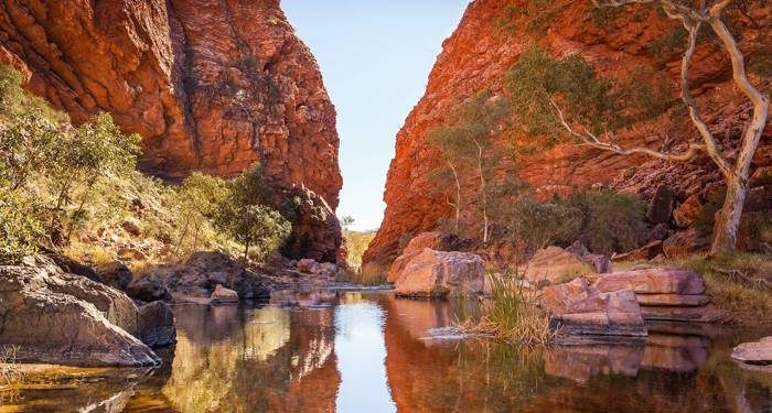 Road trip Australian halki, Alice Springs - KILROY