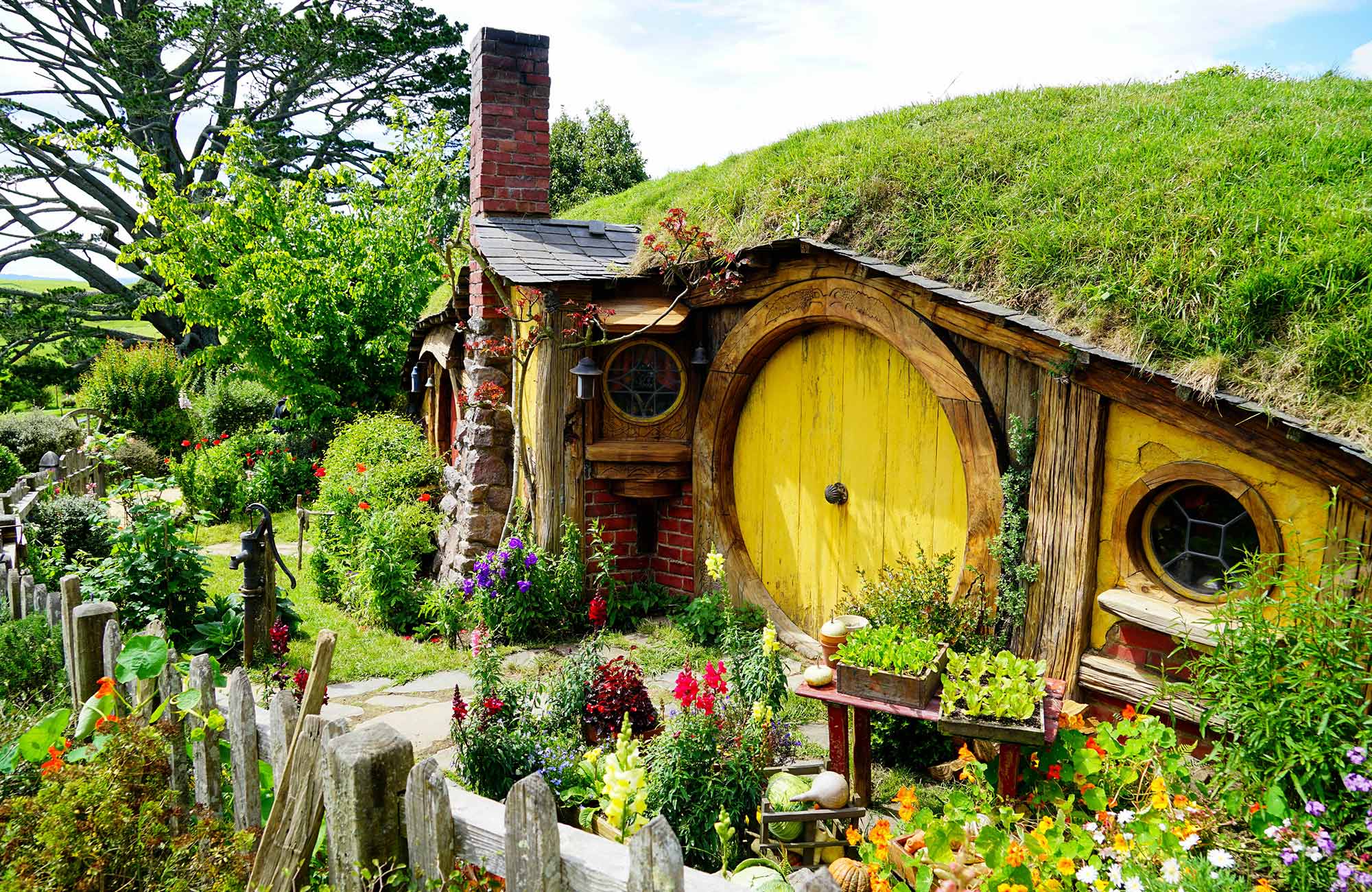 northern-island-new-zealand-hobbiton-cover