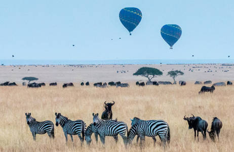 Lähde Tansanian safarille lokakuussa - KILROY