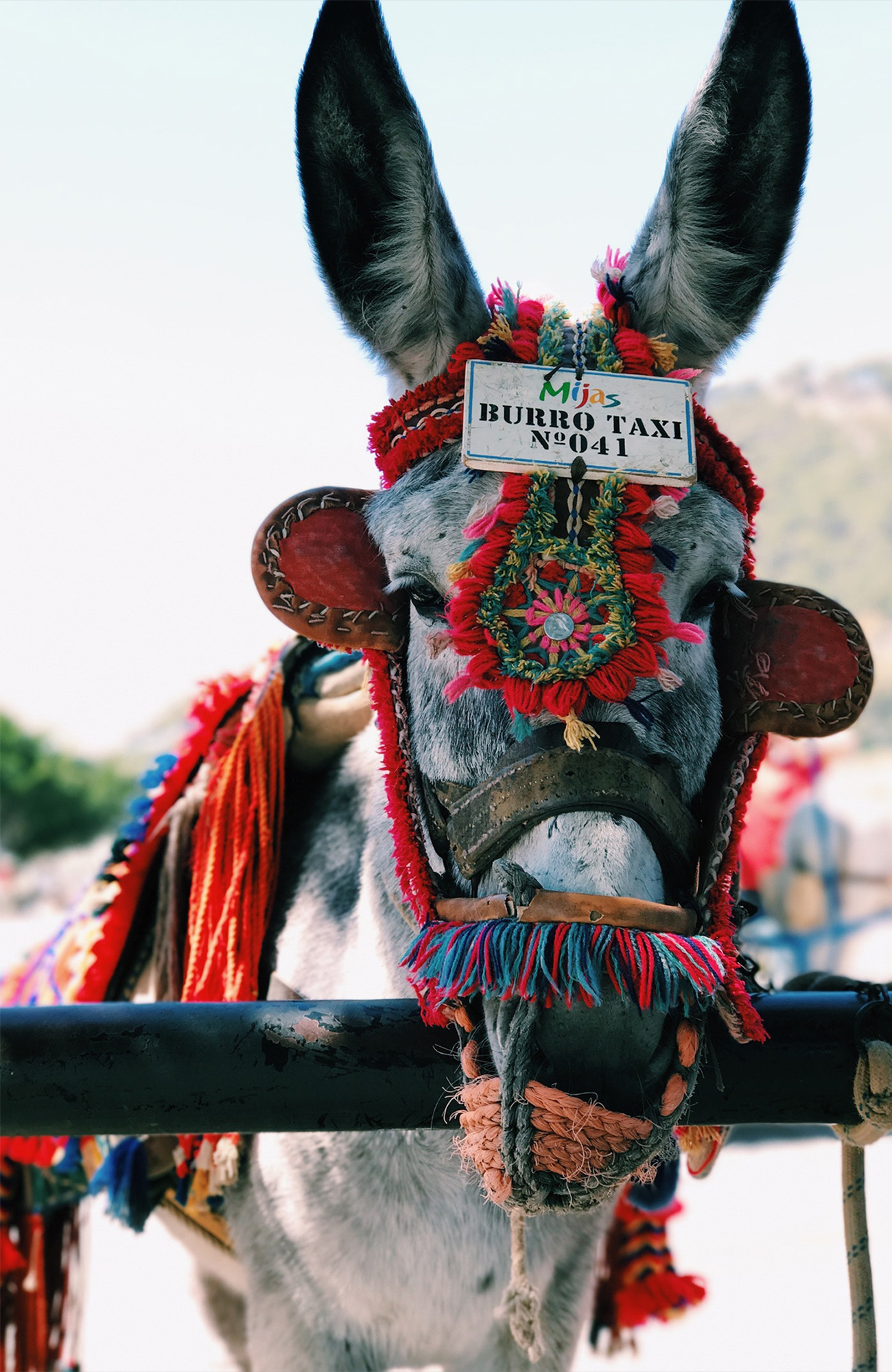 Opintomatka Malagaan - KILROY