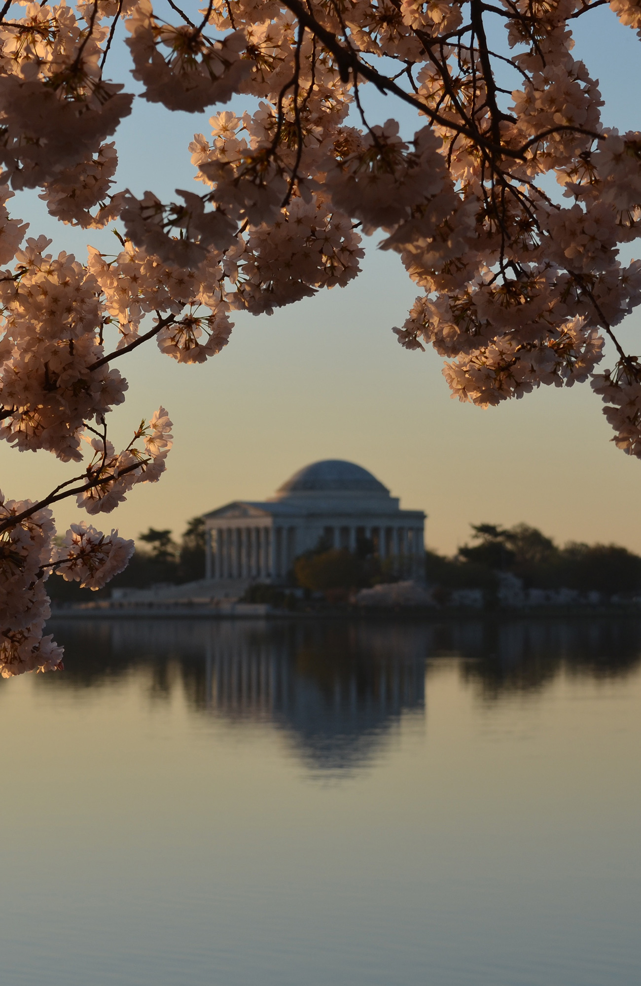 Matka Washington DC - KILROY