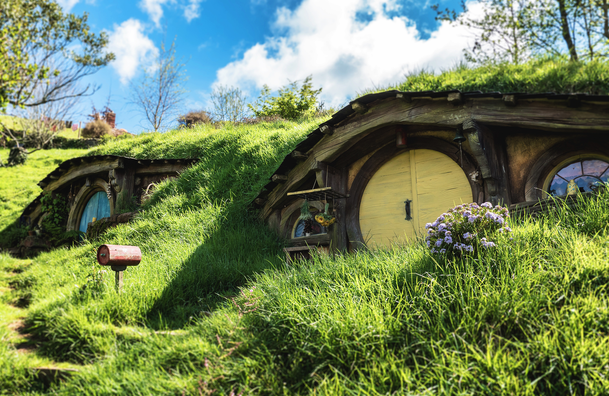 northern-island-hobbiton-new-zealand-house-cover