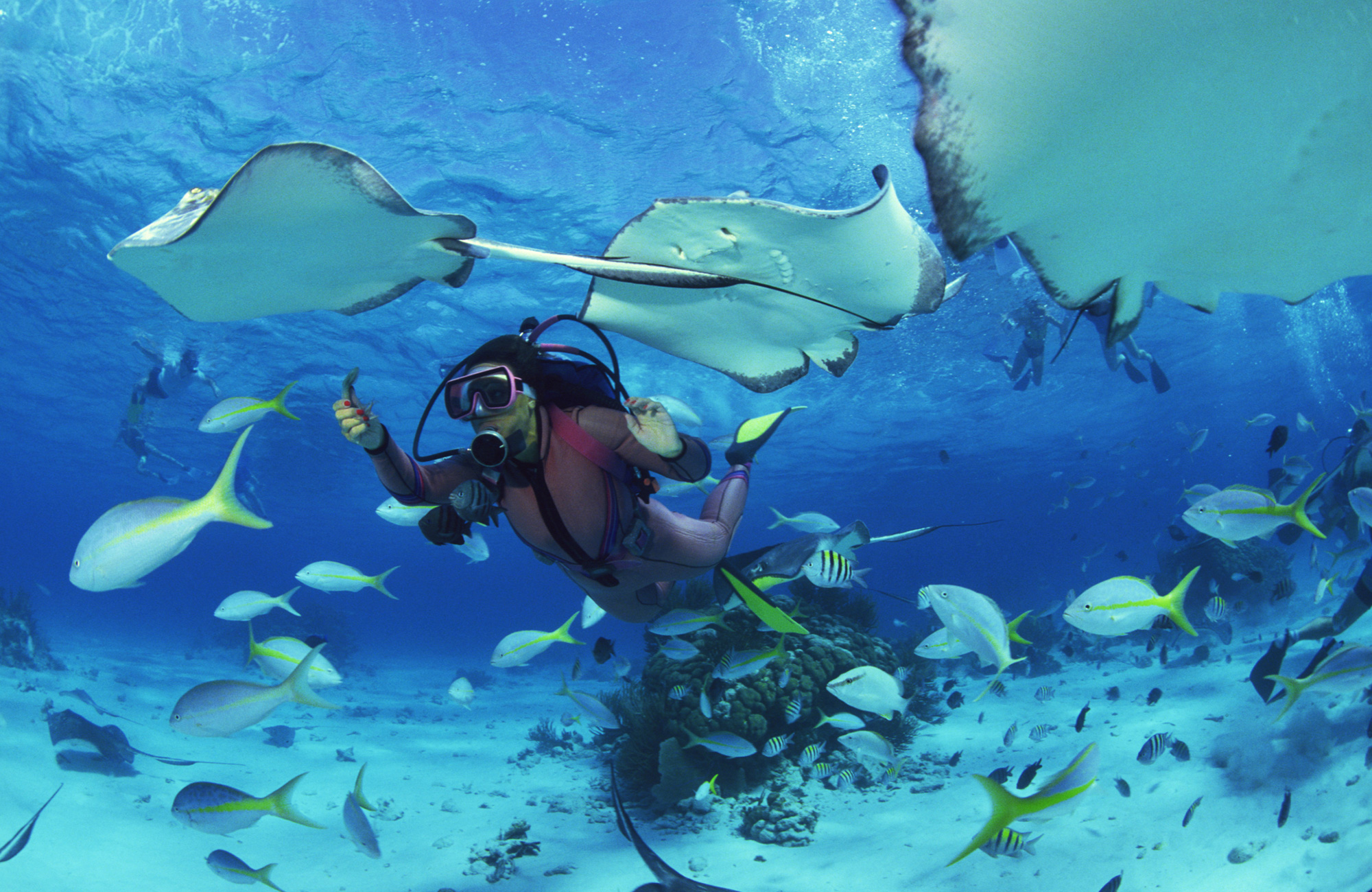 Sukellus Indonesiassa - KILROY