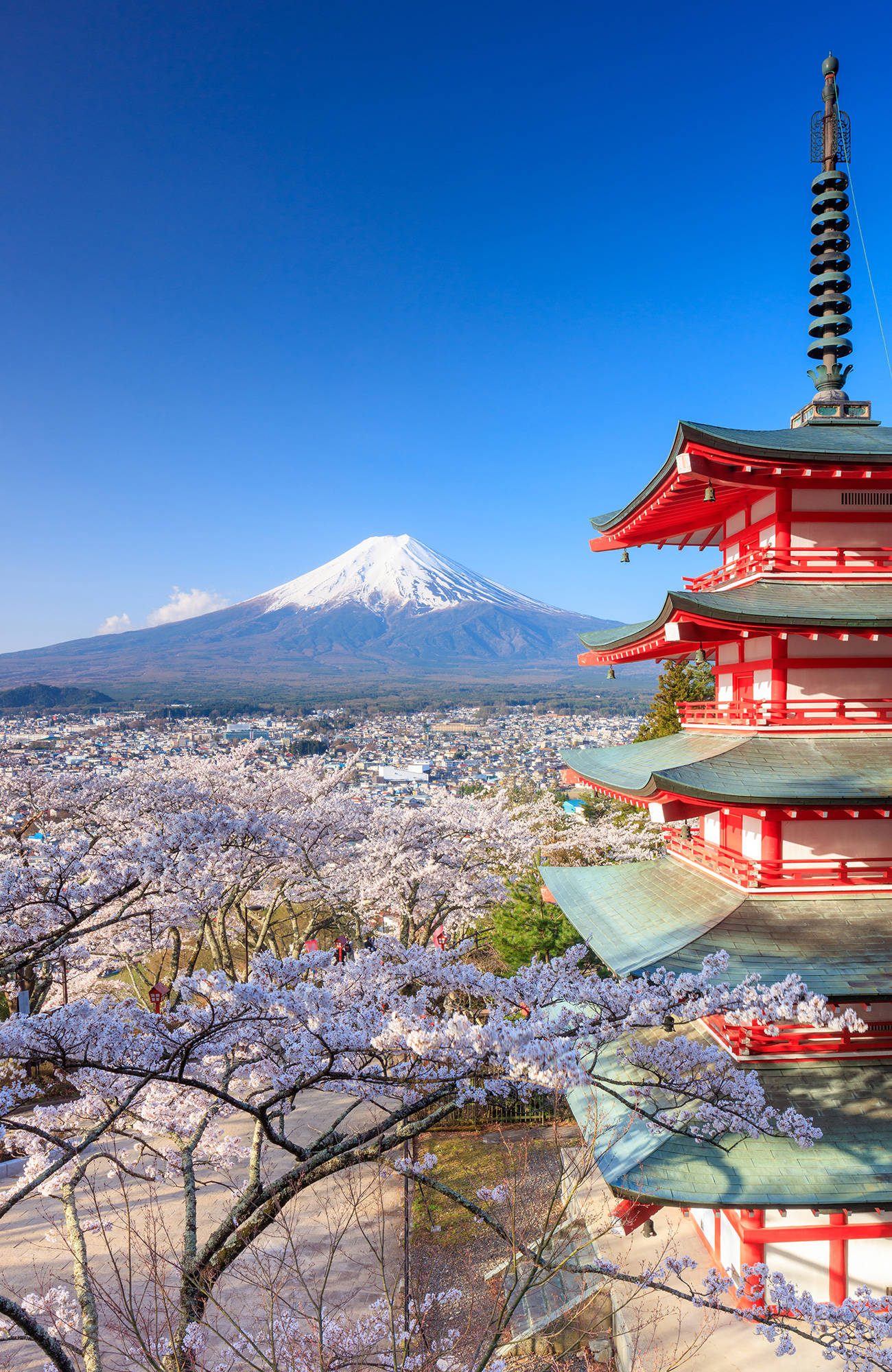 Ihmettele Mt Fujia Japanin matkalla
