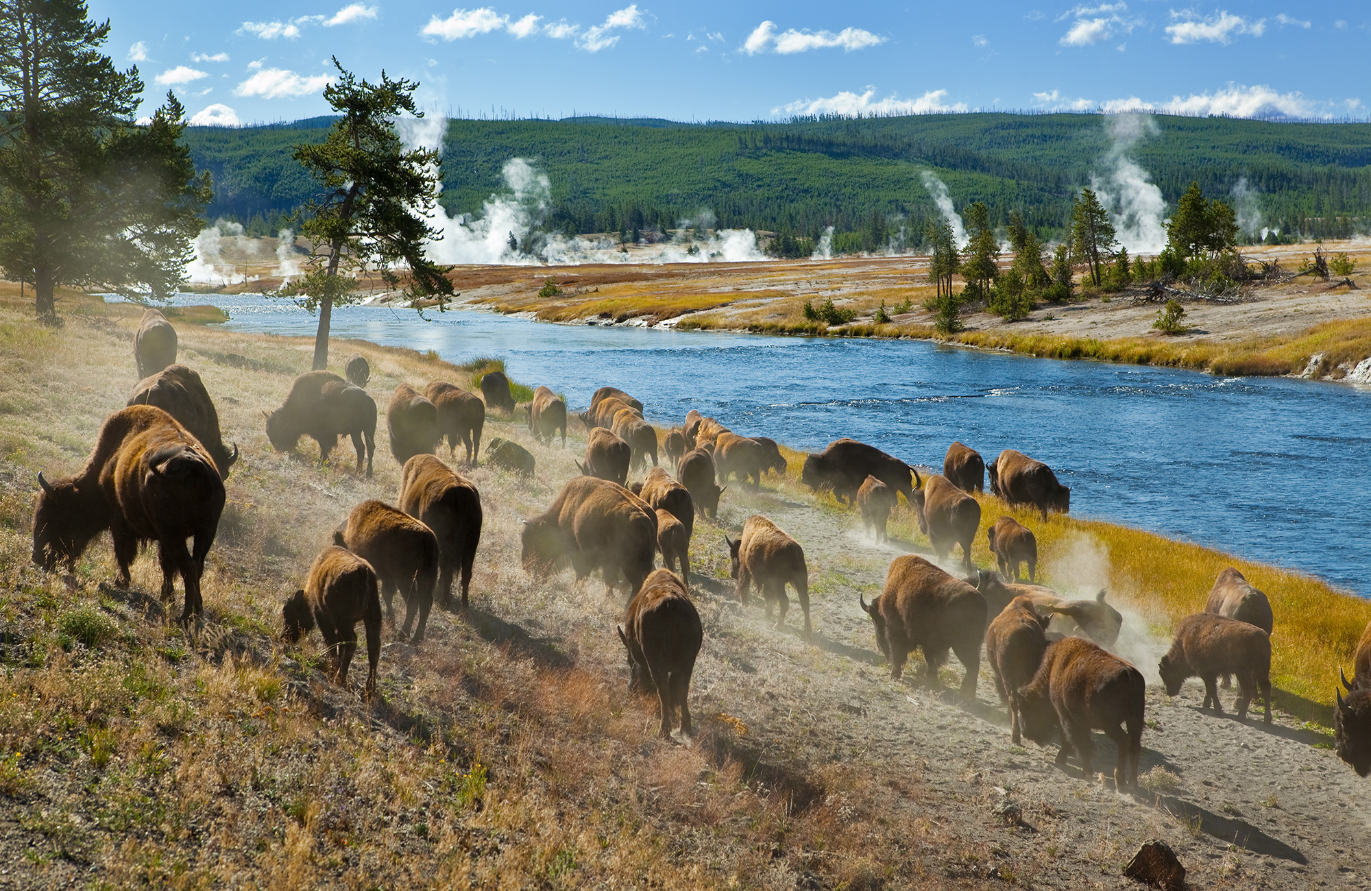 Yellowstonen kansallispuisto on yksi USA:n kuuluisimmista luontonähtävyyksistä - KILROY
