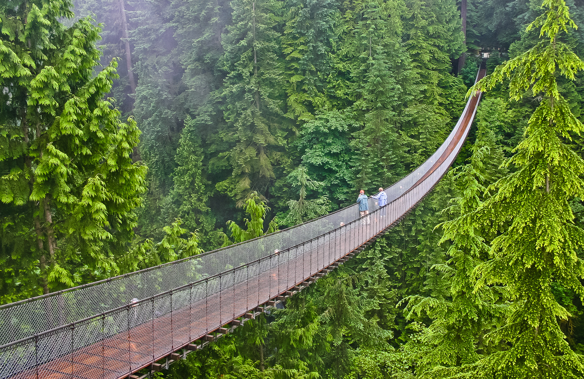 vancouver-canada-capilano-suspension-bridge-park-cover