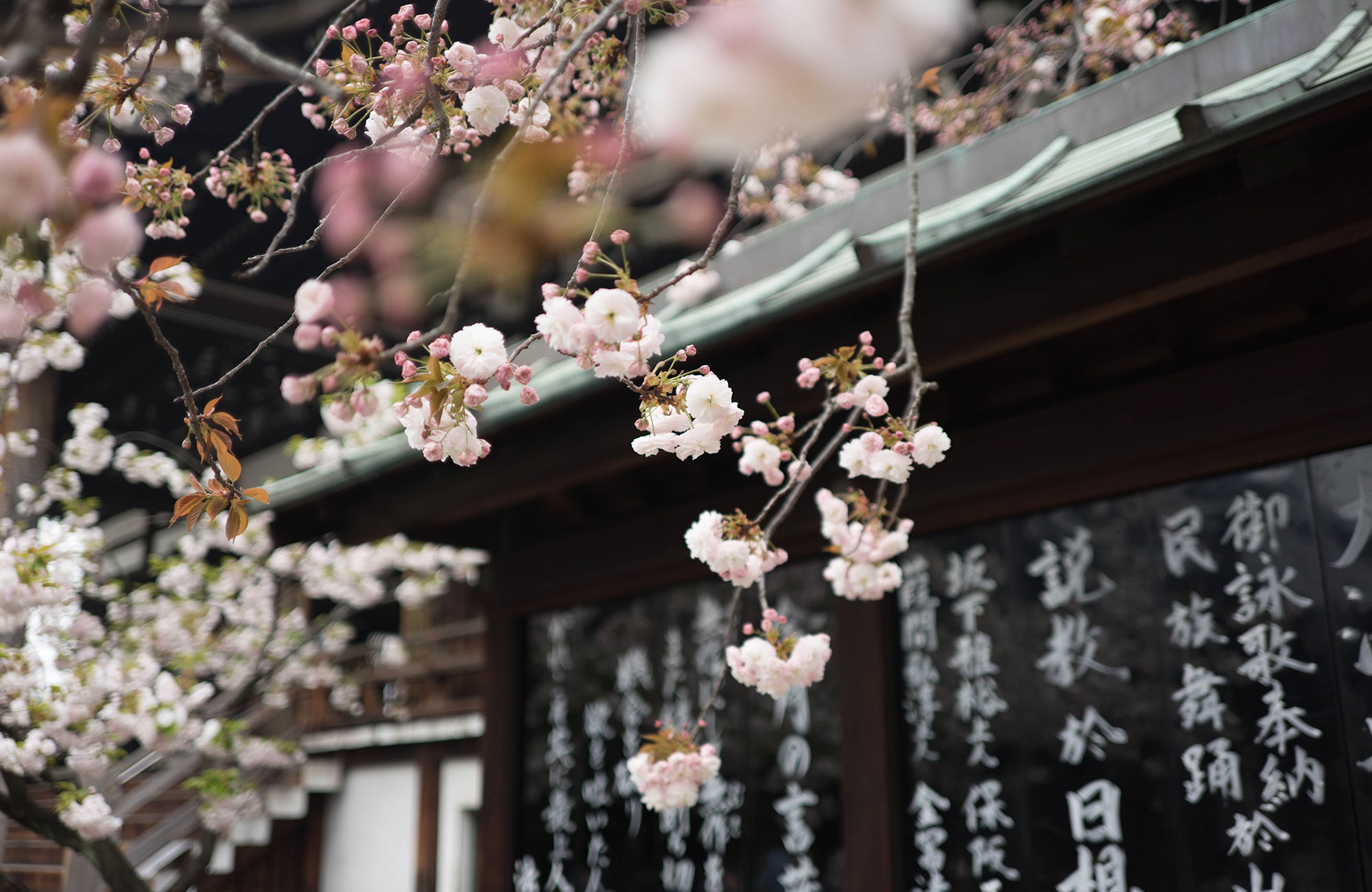 Matka Osakaan - KILROY