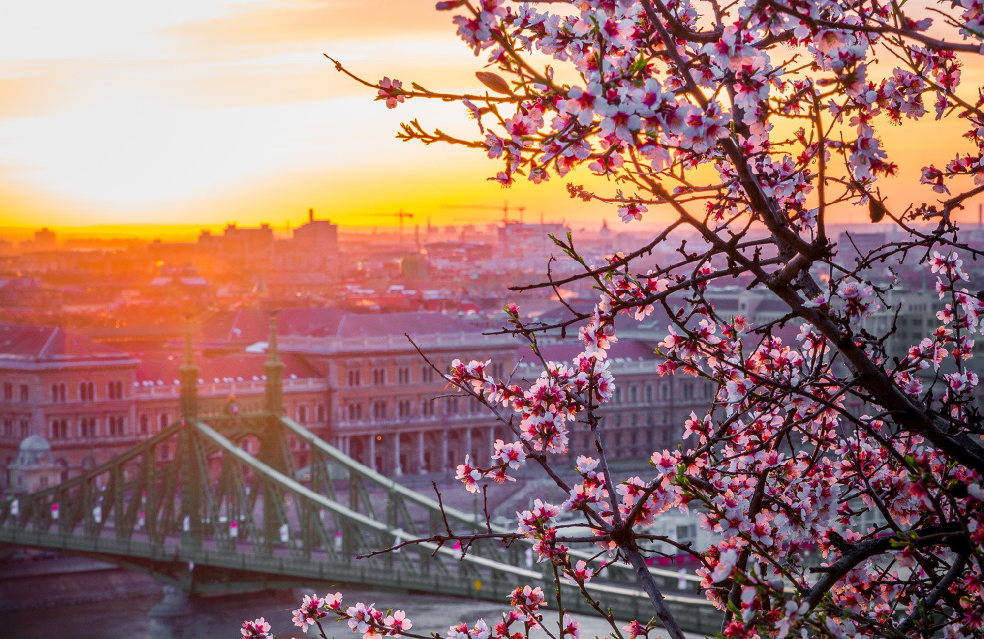 Opintomatkat Unkariin - KILROY