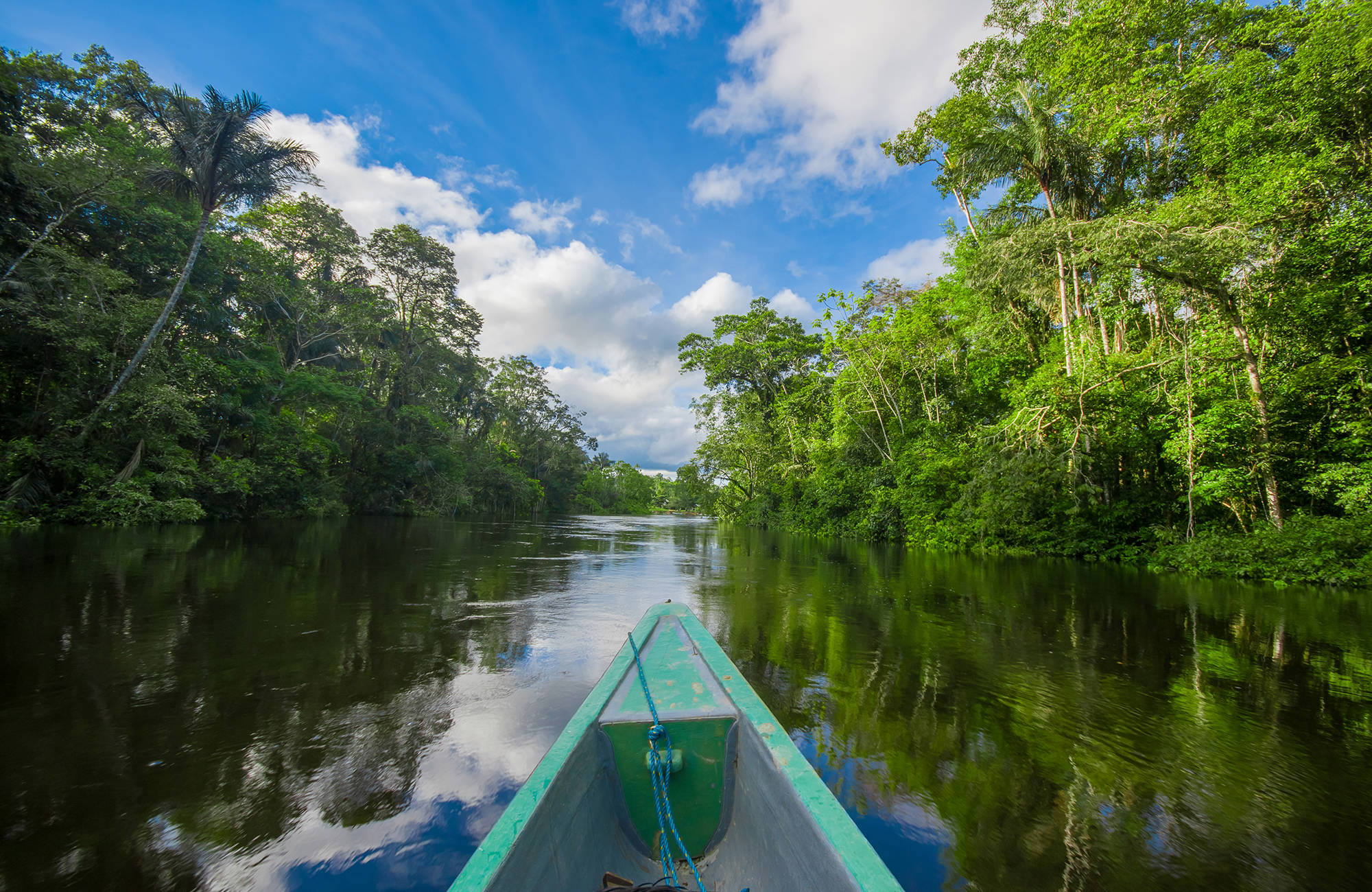 amazon-rainforest-ecuador-cuyabeno-national-park-boat-cover