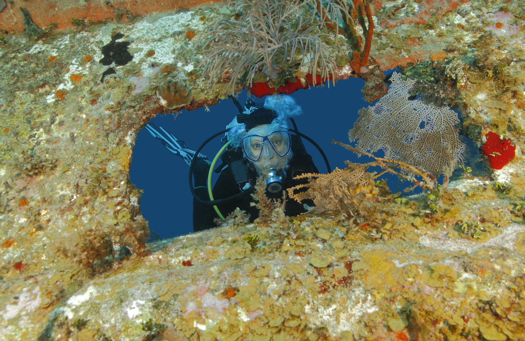 Sukellus Hondurasissa - KIRLOY