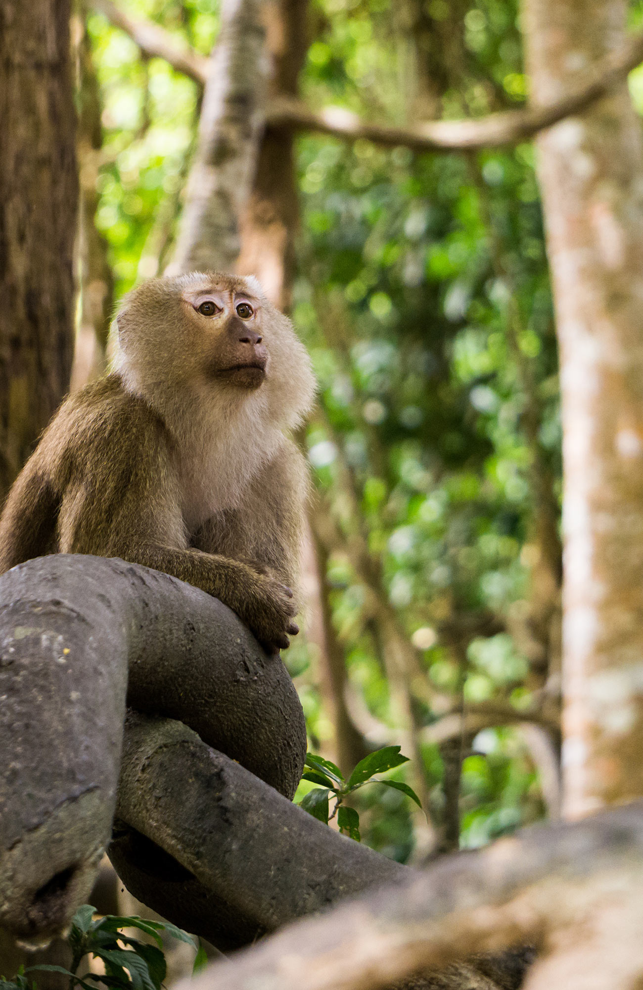 Vapaaehtoistyö Aasiassa - KILROY