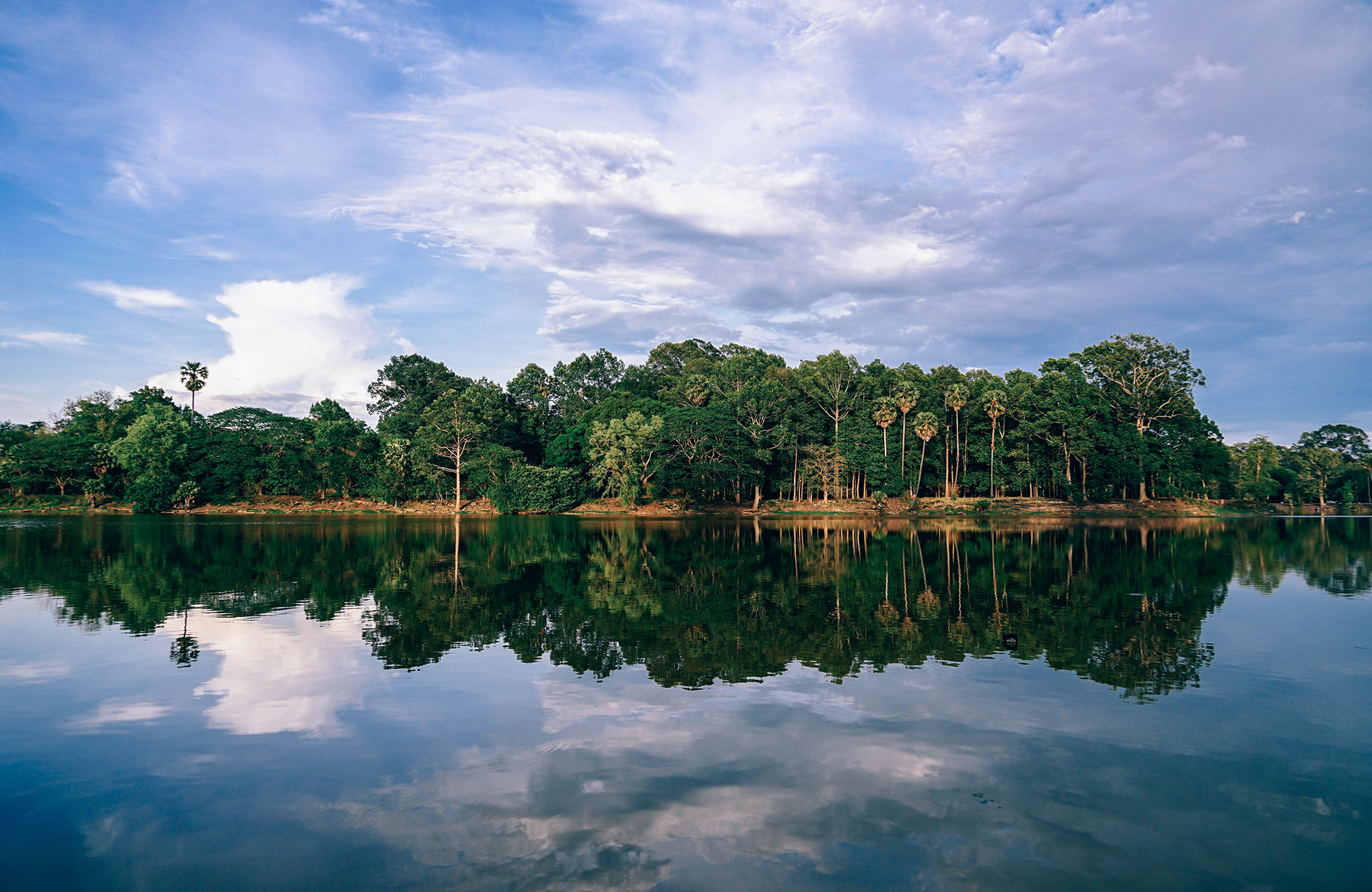 siem-reap-cambodia-forest-waterside-cover