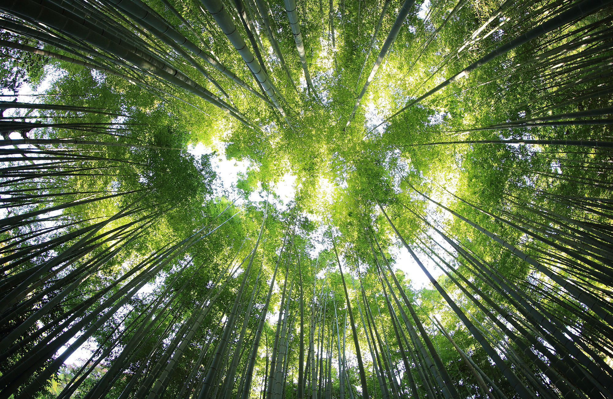 Opintomatkalla biologian opiskelua - KILROY