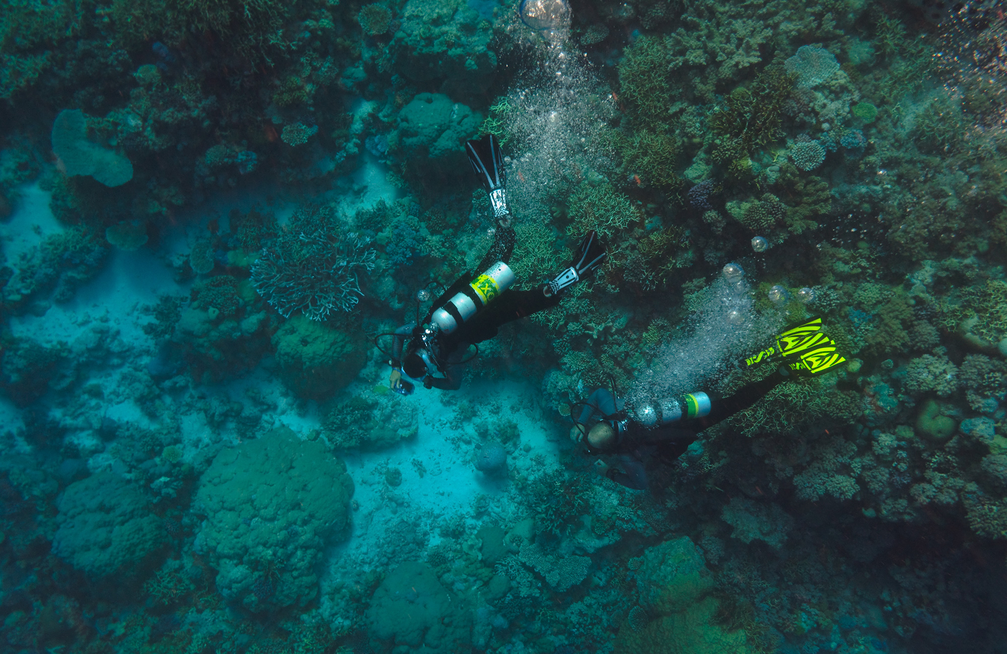 Sukellus Oseaniassa - KILROY