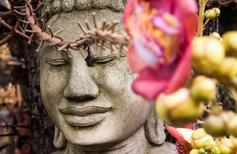 phnom-penh-cambodia-royal-palace-buddha-flower-closeup-cover