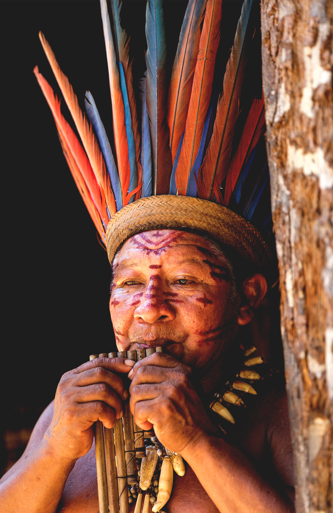 Manaus Amazonia - KILROY