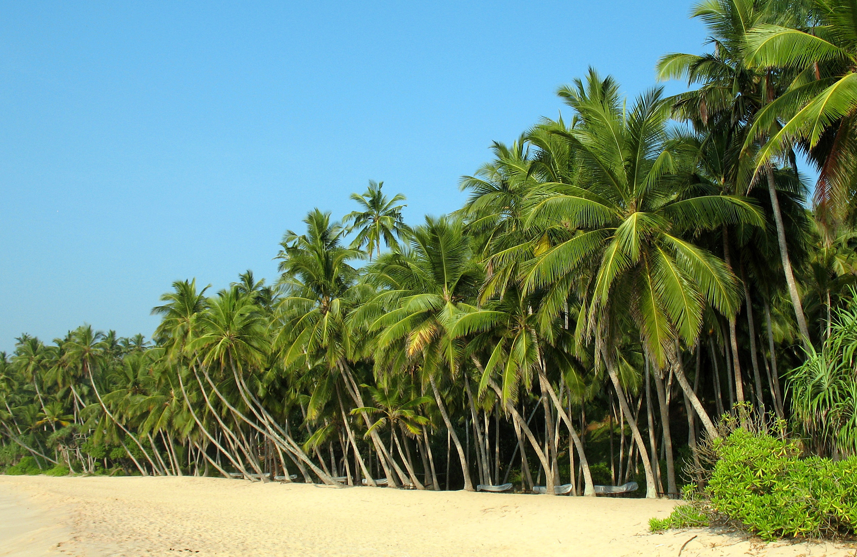 lähde seikkailumatkalle aasiaan ja koe alueen upea luonto