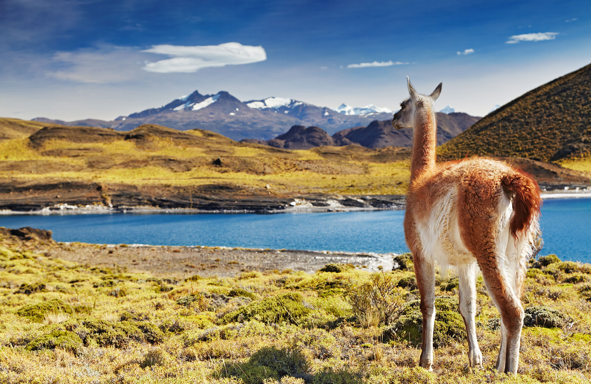 Parhaat matkakohteet Etelä-Amerikassa - Chile, Patagonia - KILROY
