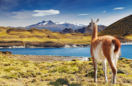 Lähde Patagonian matkalle marraskuussa - KILROY