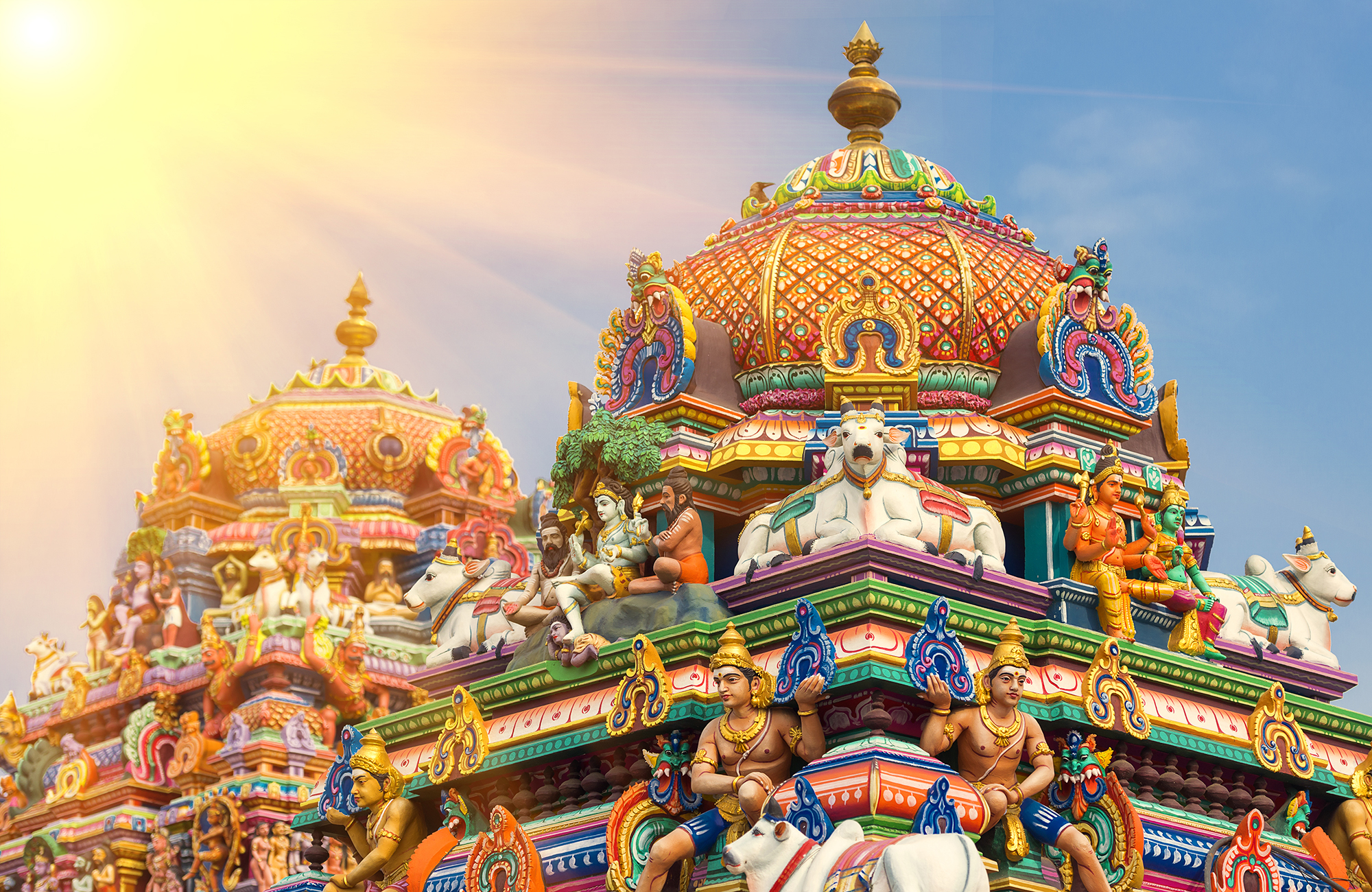 Chennai matka - KILROY