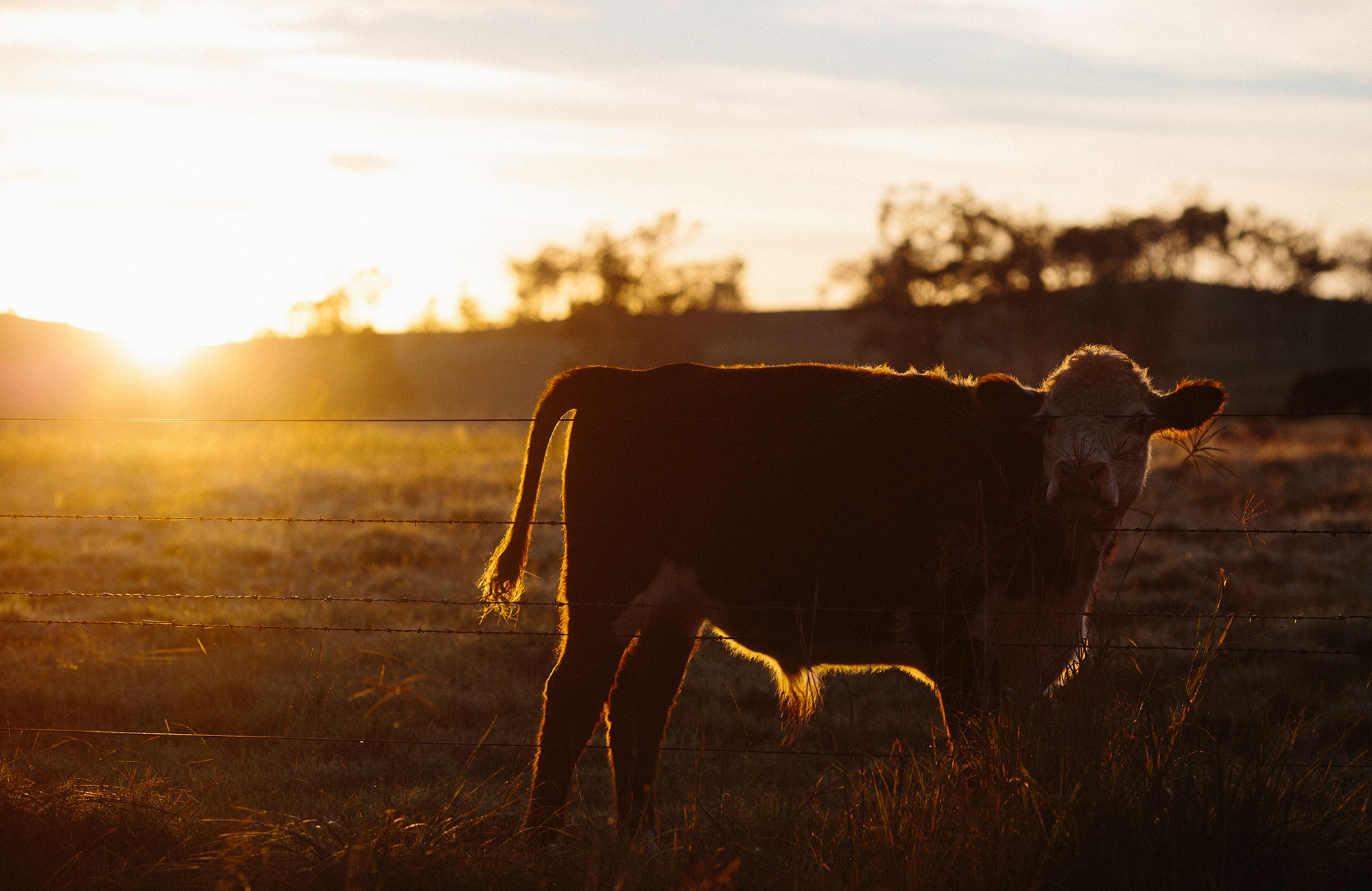 Töihin Australiaan ja Uuteen-Seelantiin - KILROY