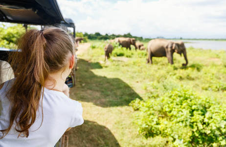 Sri Lankassa pääset lähelle norsuja - KILROY