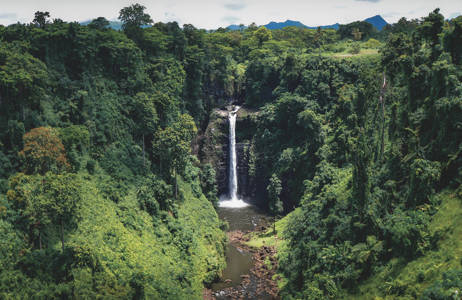 samoa-island-green-jungle-waterfall