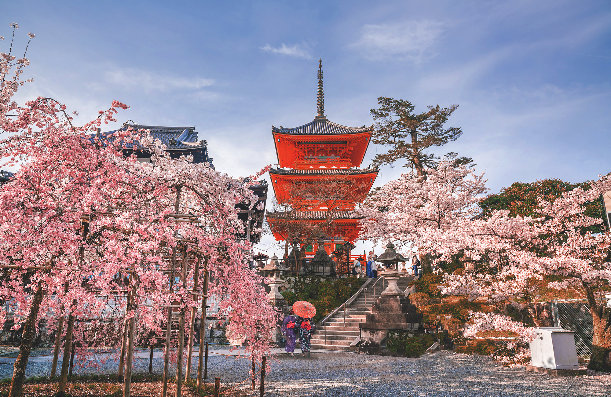 Milloin matkustaa Aasiaan - Kirsikankukat Japanissa - KILROY