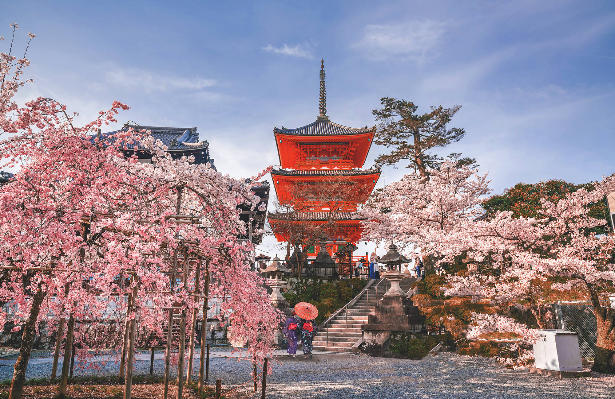 kyoto-japan-kiyomizu-dera-temple-cherry-blossom