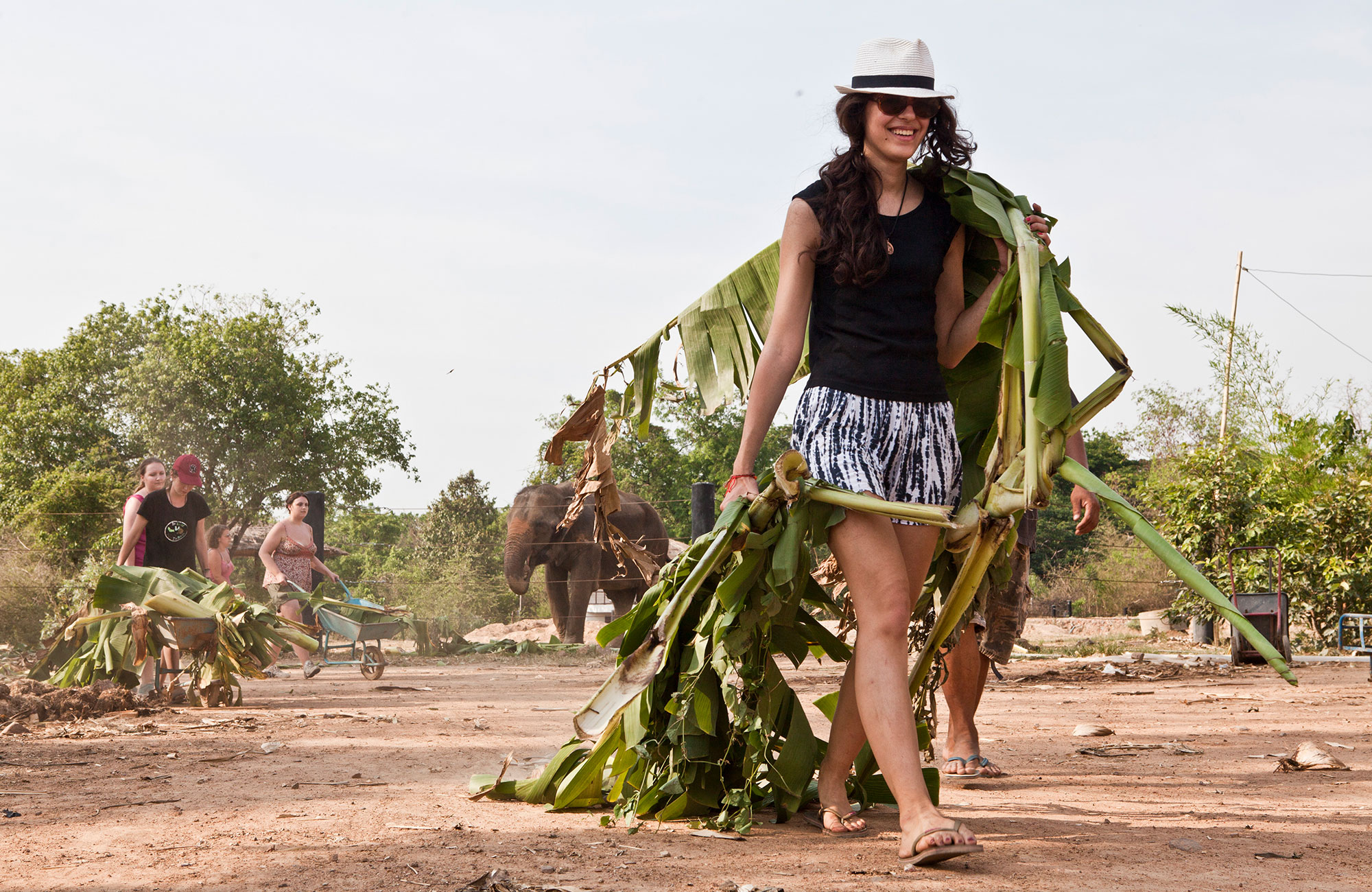 wfft-volunteering-thailand-elephant-refuge-volunteers-at-work