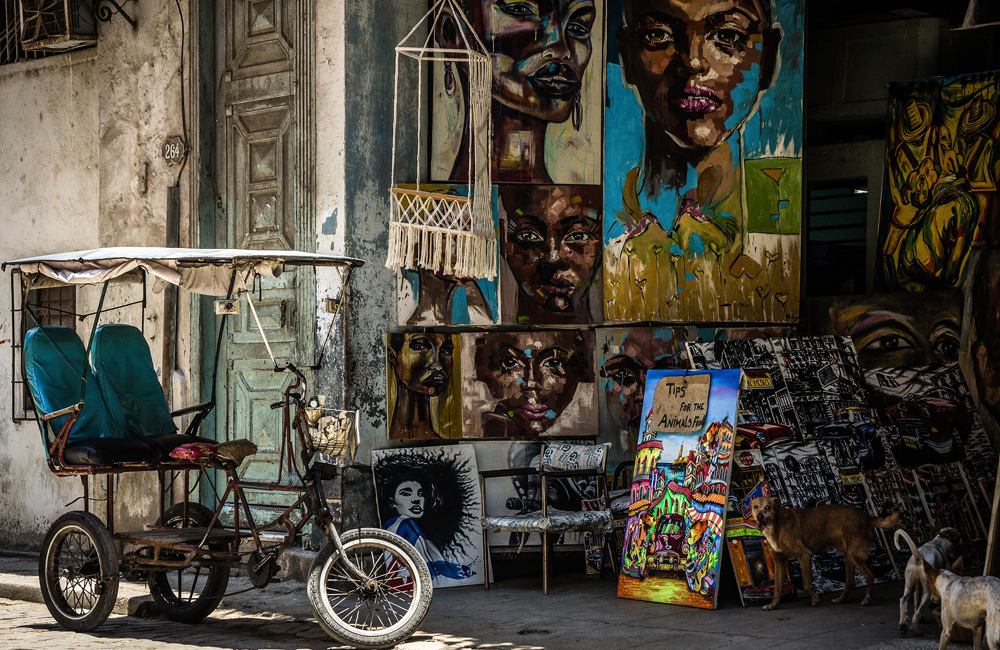 Kielikurssi Kuubassa - KILROY