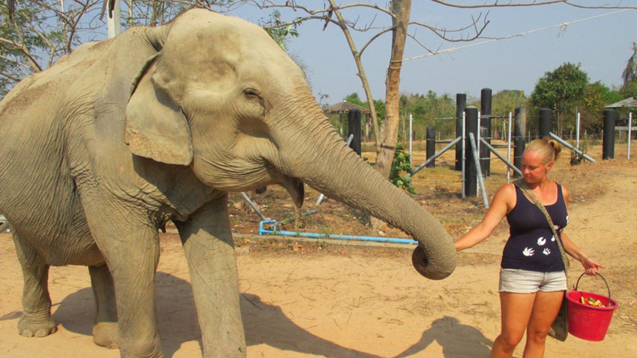 mari-valivuosi-vapaaehtoistyo-ruokinta