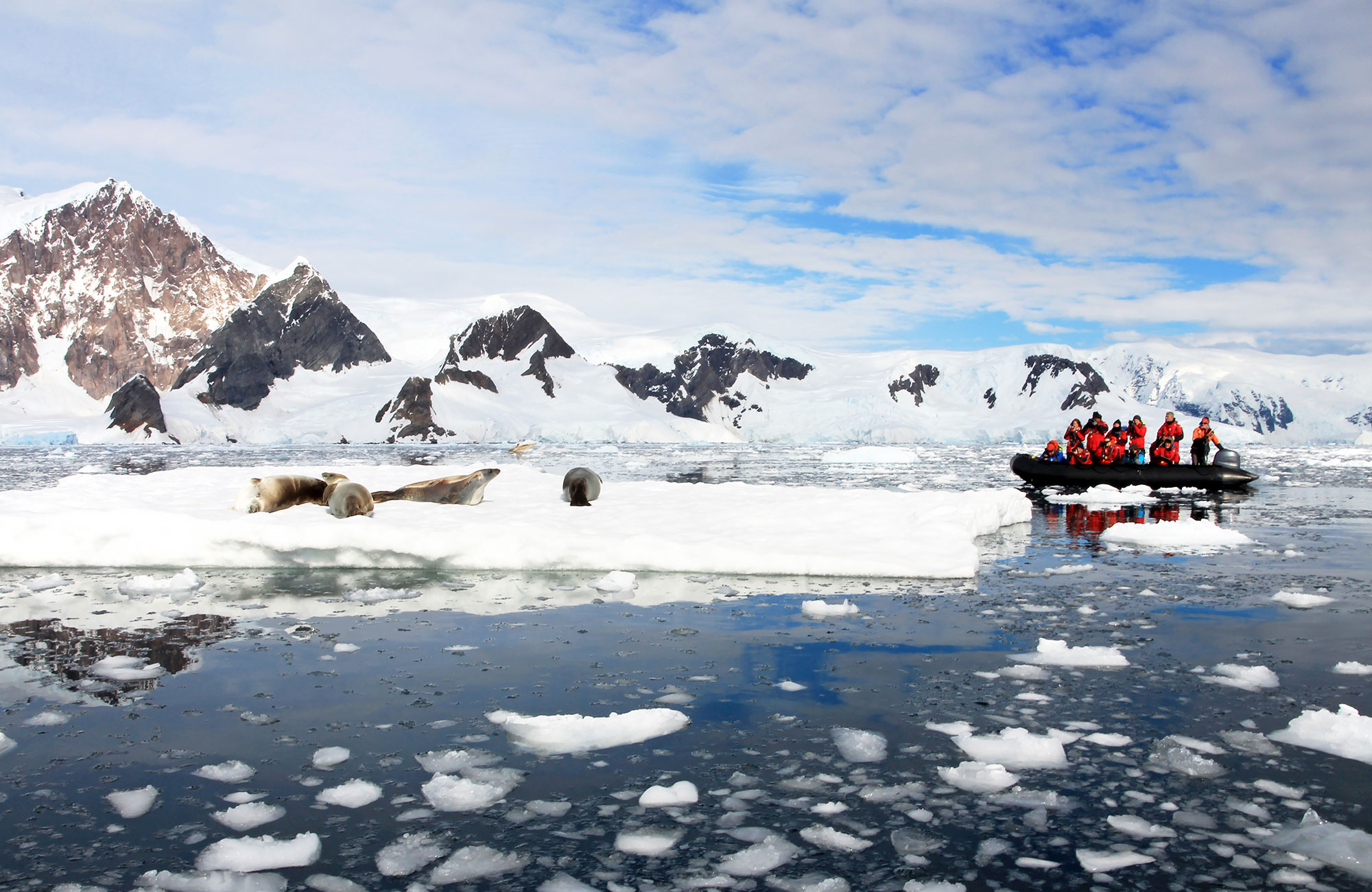 Laivamatka Argentiinassa - KILROY