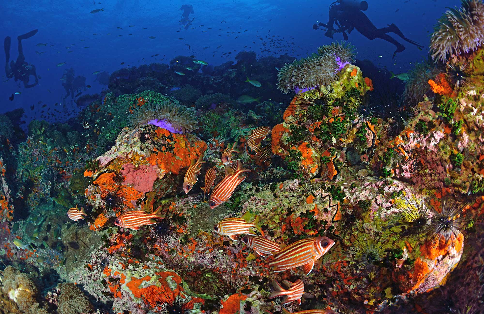 Sukellus Koh Taolla - KILROY