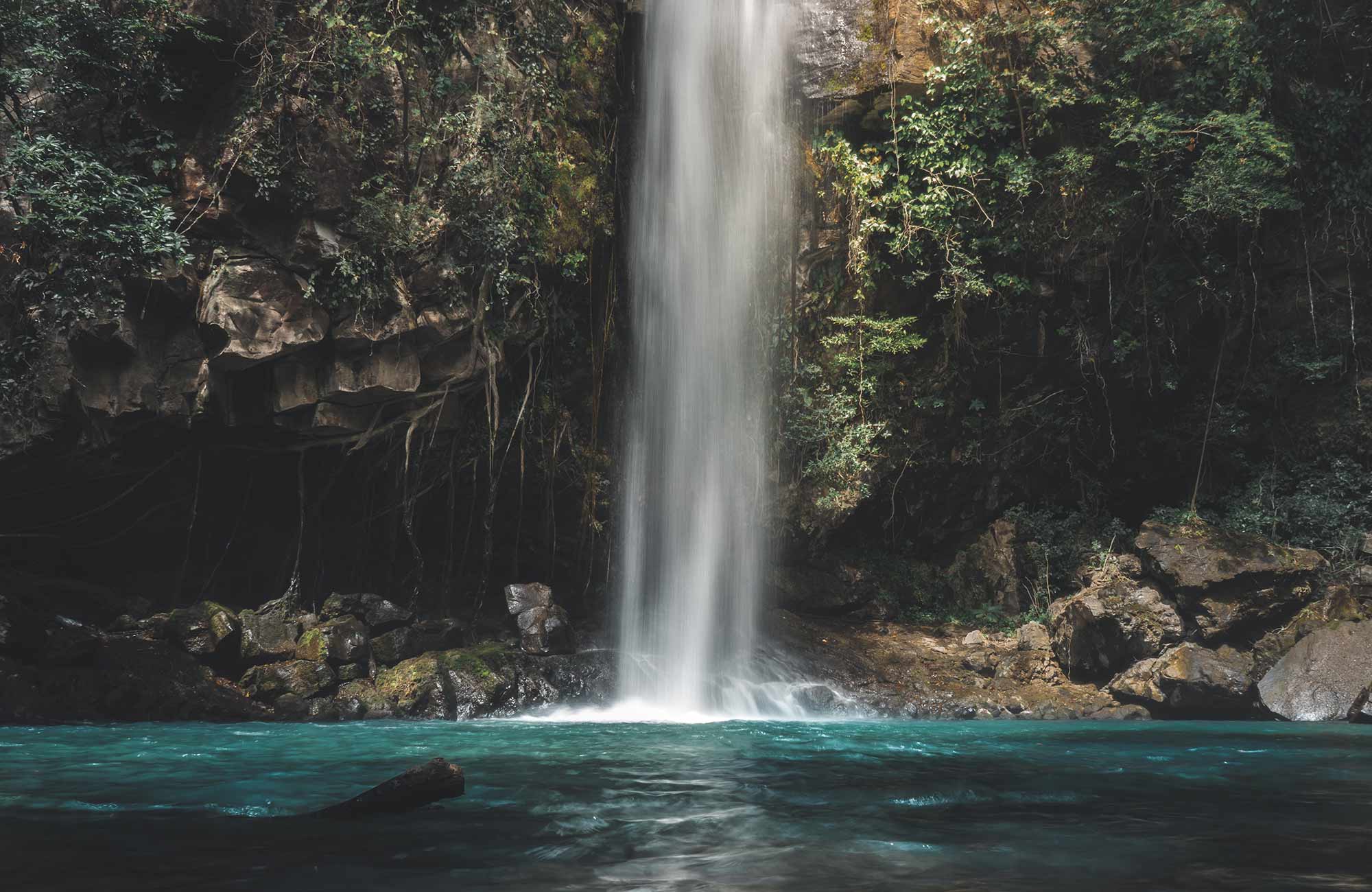 Thin waterfall in Monteverde National Park in Costa Rica