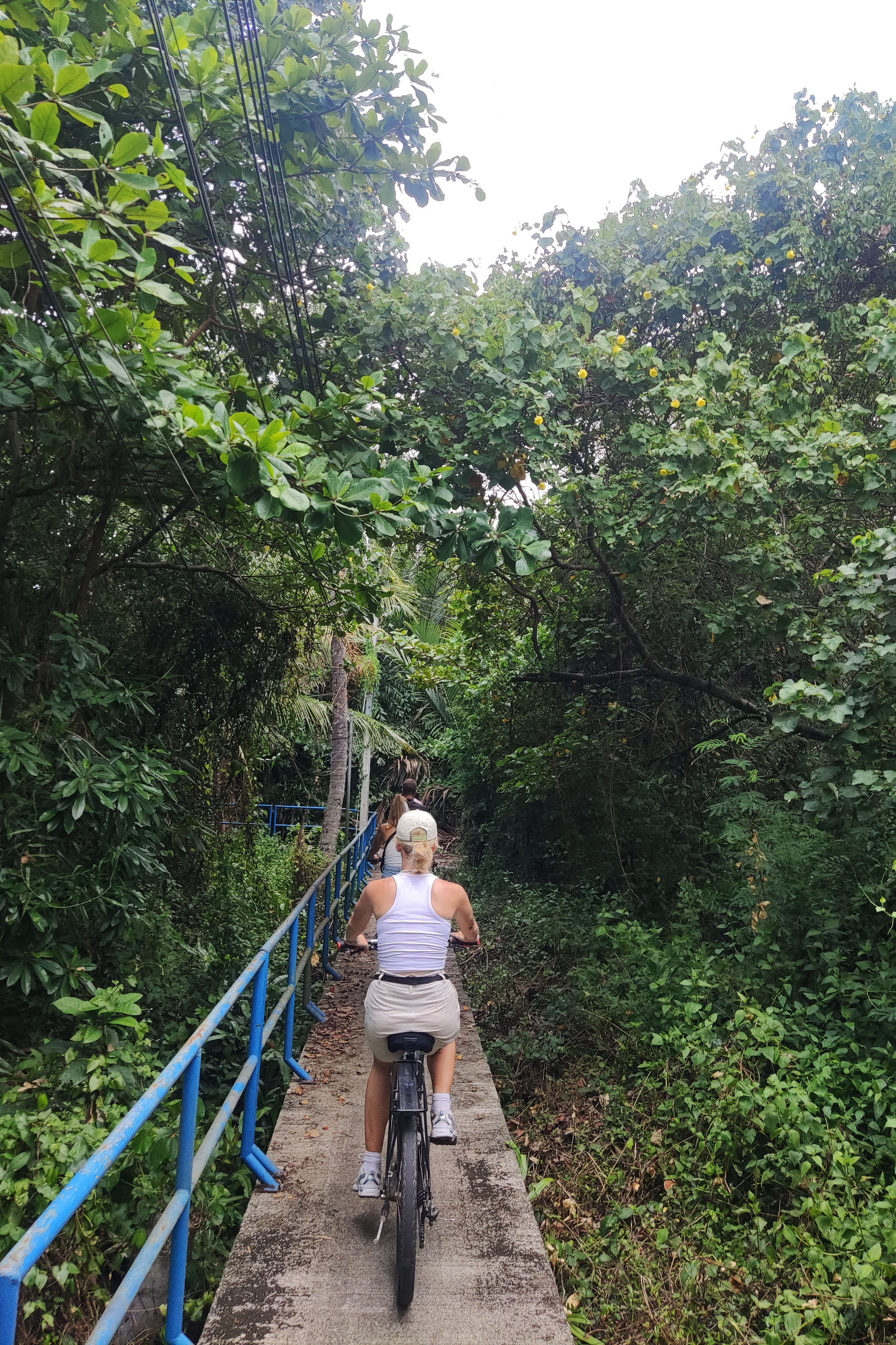 A group of young travellers biking through the Green Lungs of Bangkok, with lush green forest on each side of the bike path