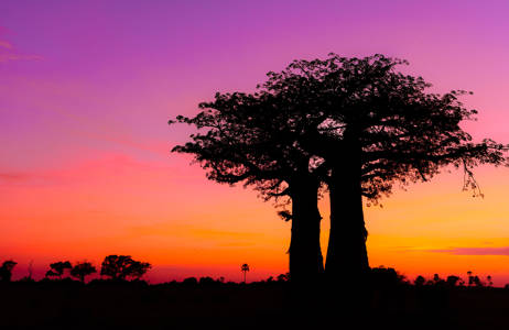 Ihaile värien kirjoa Botswanan matkalla - KILROY