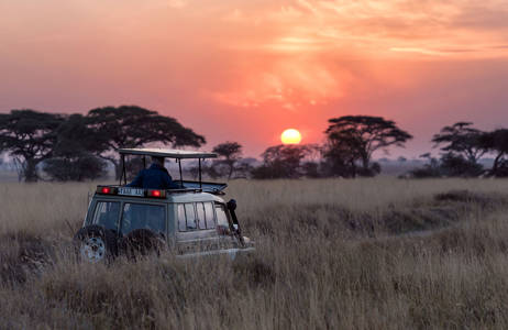 Minne matkustaa lokakuussa - Safari Tansaniassa - KILROY