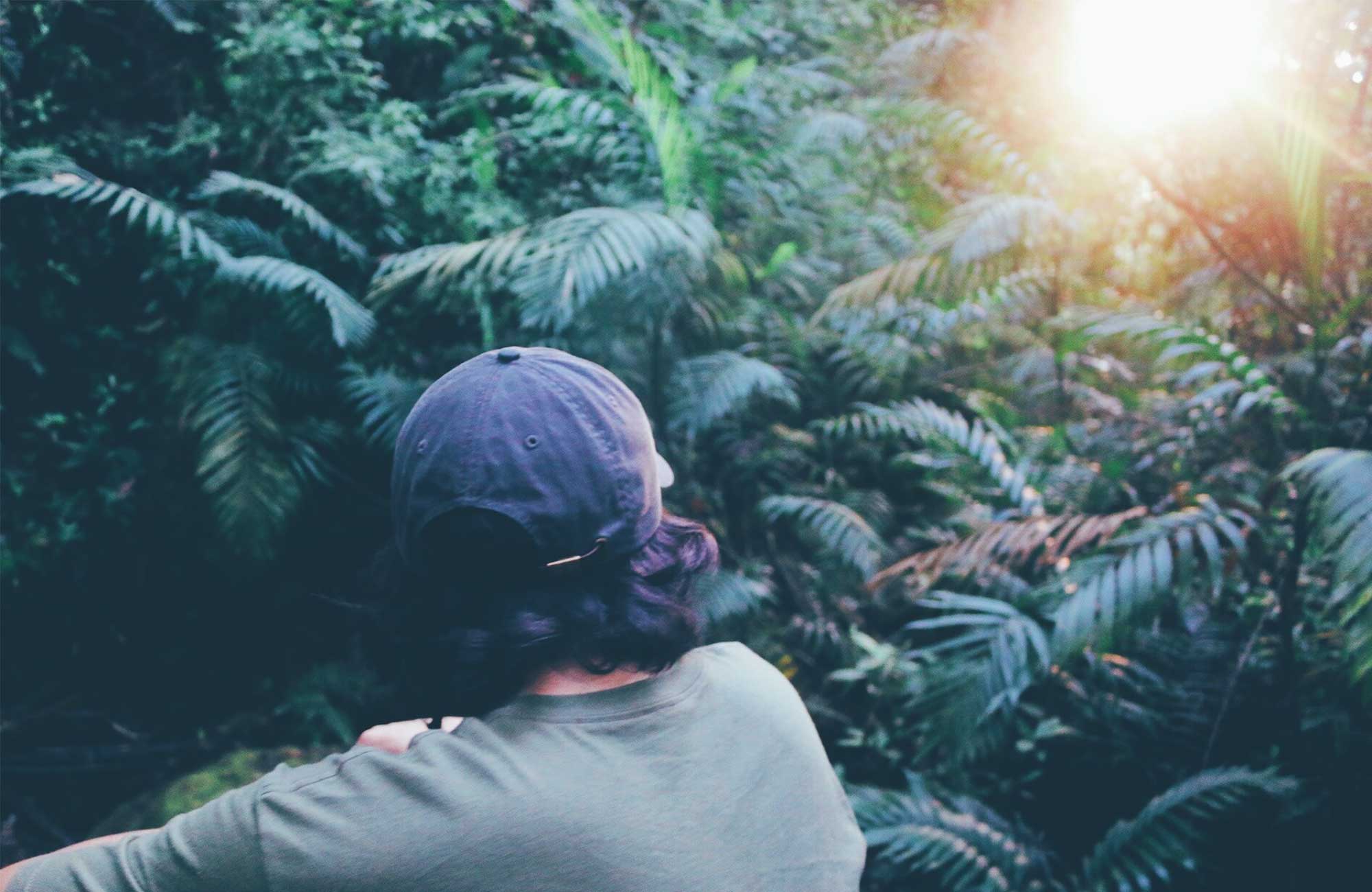 Male traveller with a grey cap viewed from the back while looking at the sunset in the jungle of Costa Rica