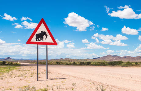 namibia-road-elephants-crossing-roadsign