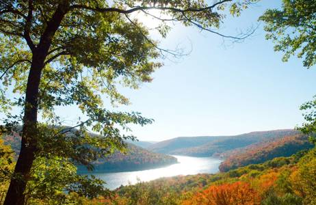 north-america-usa-allegheny-national-forest-view