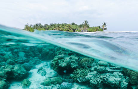 maldives-ocean-island-tropical