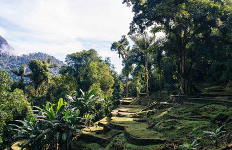Lost City Colombia | Trekking Peru & Colombia