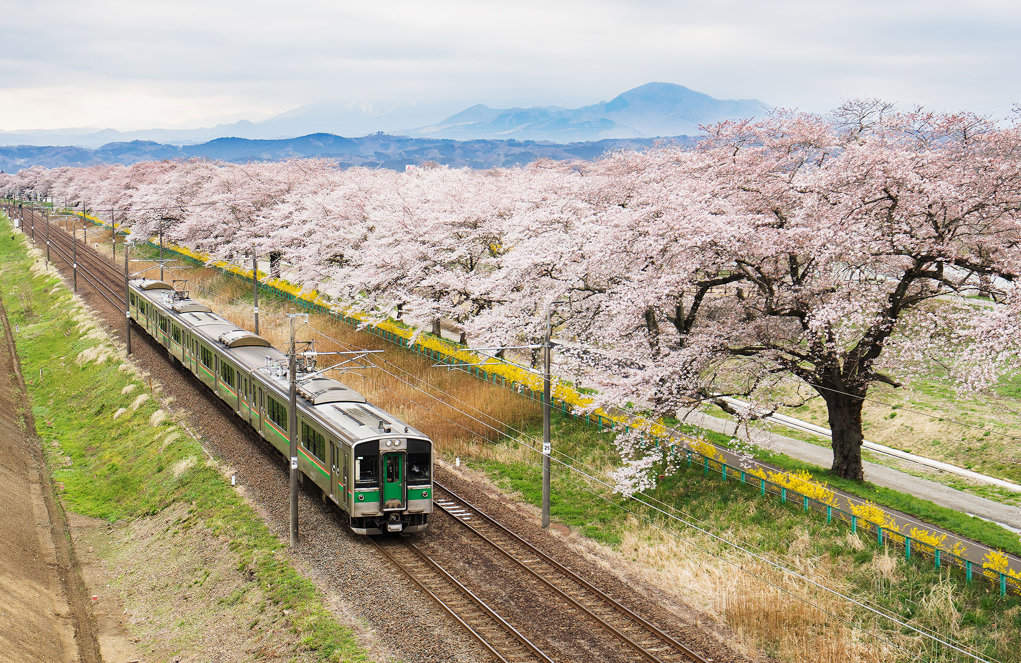 Japan Rail Pass − Junapassi Japanissa - KILROY