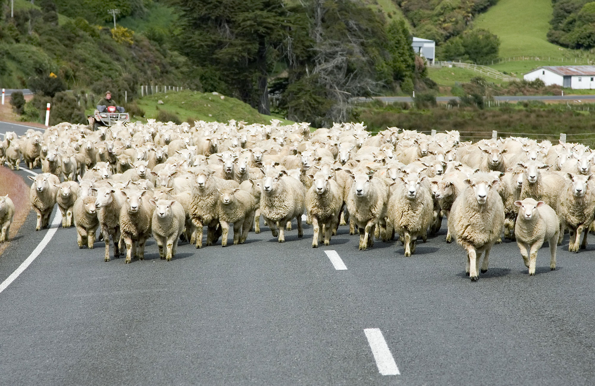 Vuokraa Hi-Top -matkapaku Uudessa-Seelannissa - KILROY