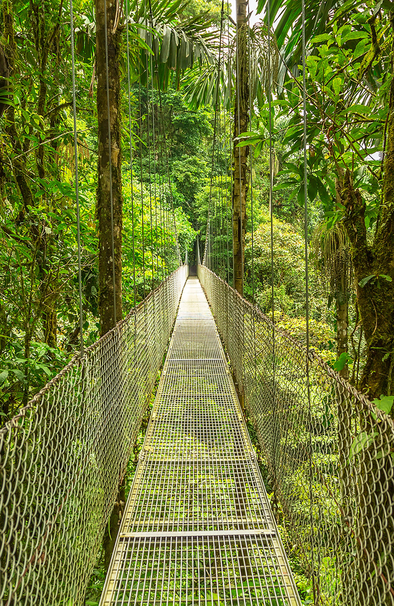hanging-bridge-in-costa-rica-sidebar